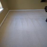 Eco Green Steam Carpet Cleaning image 4